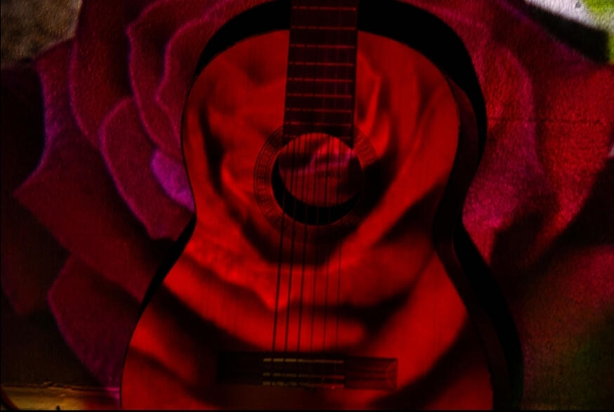 Photograph An image of a Rose projected onto a Spanish Guitar