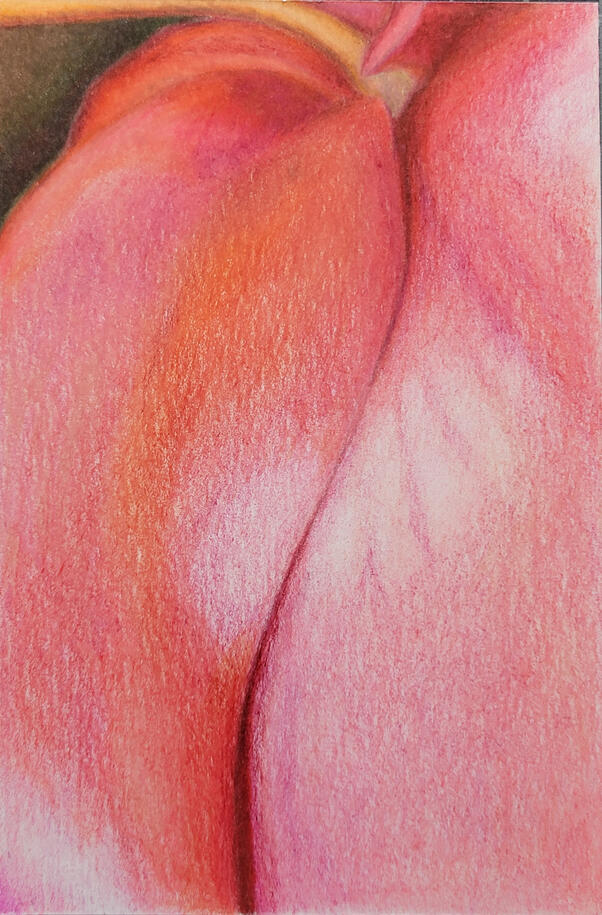 Postcard #117 coloring pencils on a 4x5 postcard